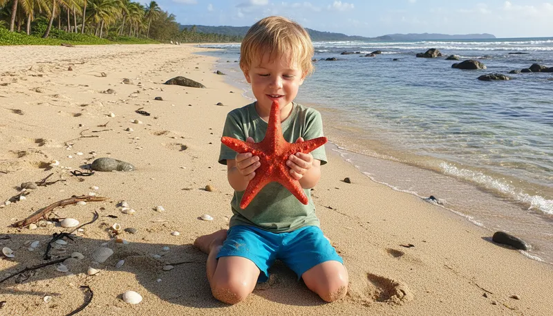Illustration of starfish: A marine animal with arms radiating from a center.