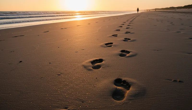 Illustration of trace: a mark or sign left behind