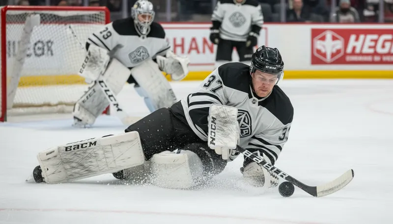 Illustration of defenceman: A hockey player who defends against opponents.