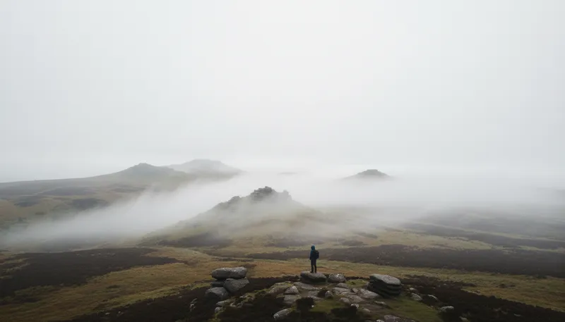 Illustration of dartmoor: A national park in England.
