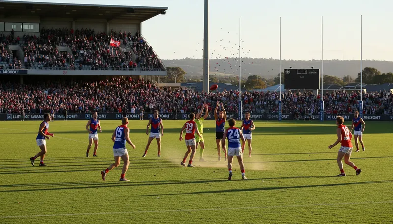 Illustration of SANFL: An acronym for South Australian National Football League.