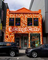 Illustration of corgi cafe: All-night San Francisco cafe run by AI insurance startup Corgi.