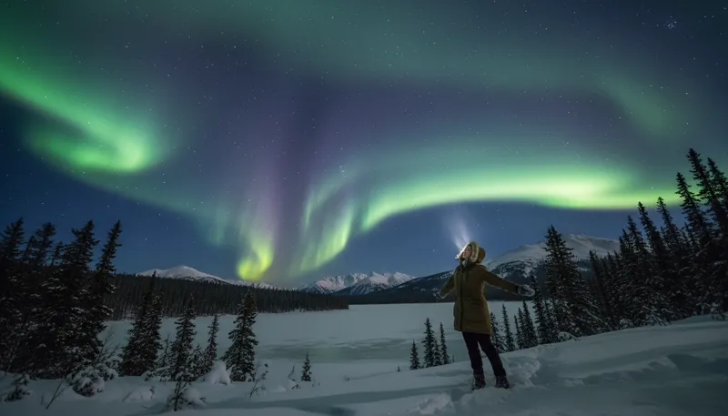 Illustration of phenomenon: An observable event or fact.
