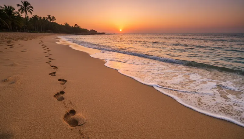 Illustration of footprint: the mark left by a foot on a surface