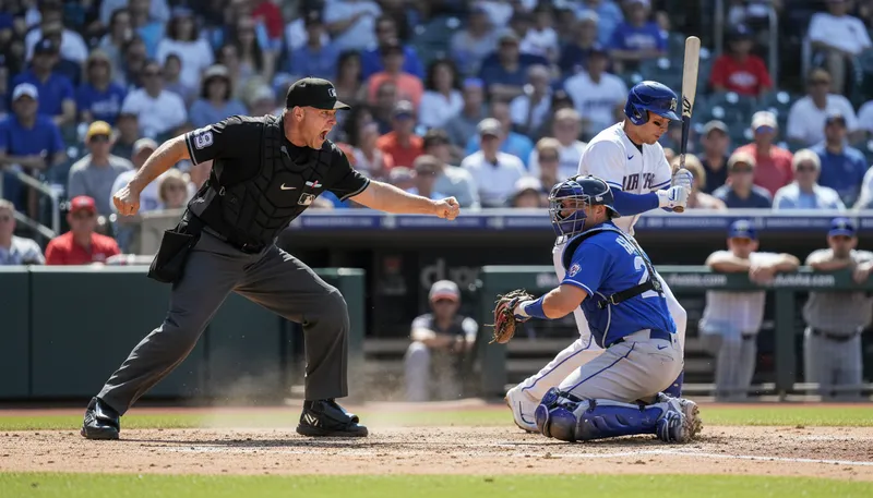 Illustration of umpire: Official who oversees a game or match.