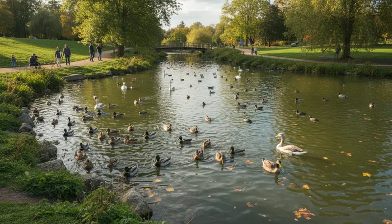 Illustration of waterfowl: Birds that live near water.